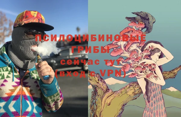 apvp Алексеевка