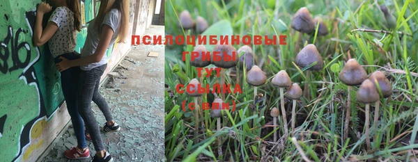 apvp Алексеевка