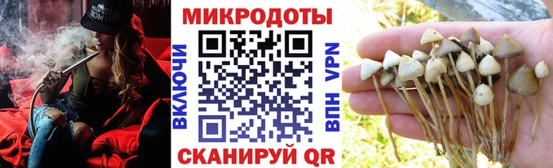 хочу   Грязовец  Галлюциногенные грибы мицелий 
